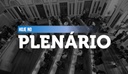 Notas da sessão plenária de 11 de fevereiro - 2ª edição