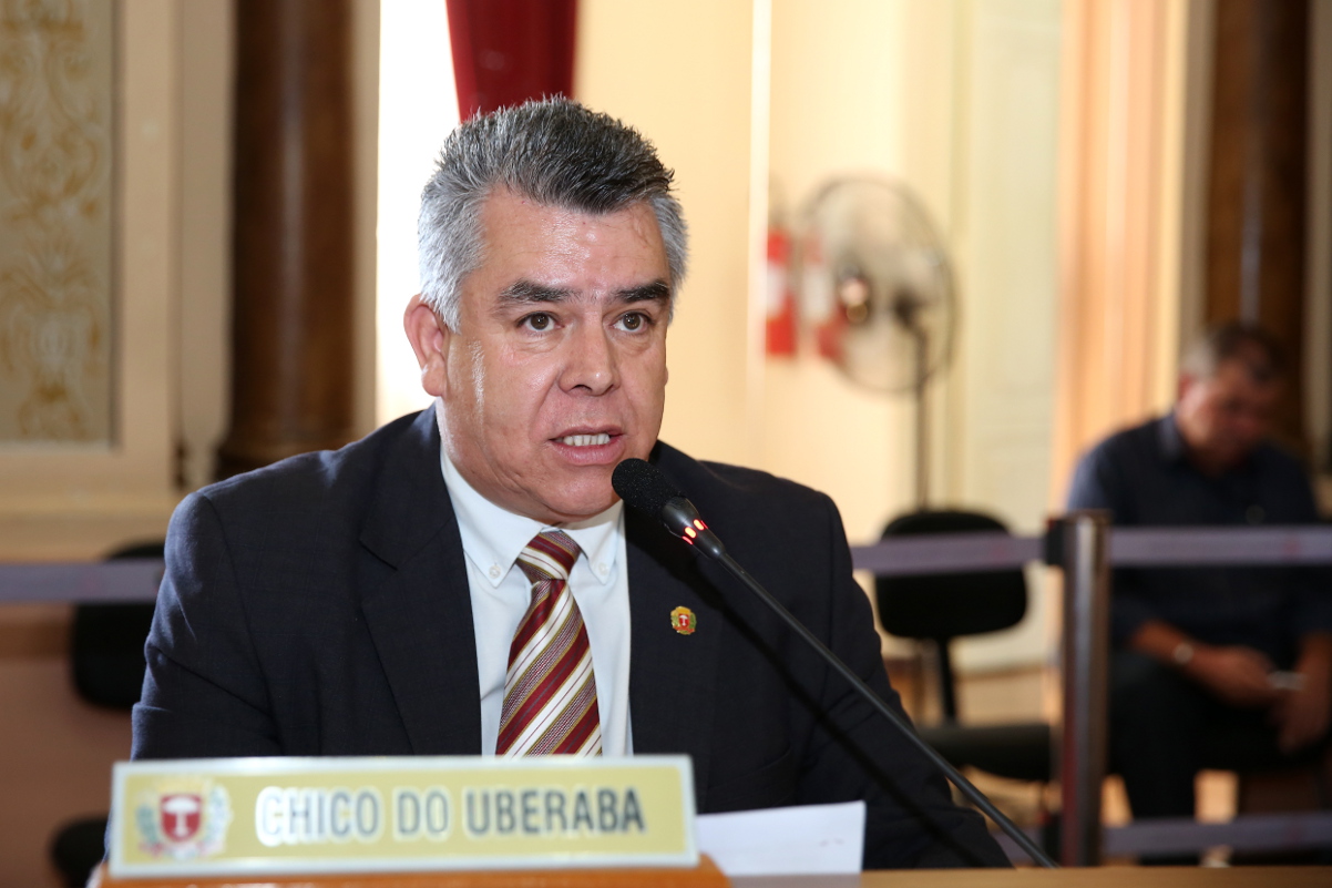 Notas da sessão plenária de 13 de abril - 1ª edição