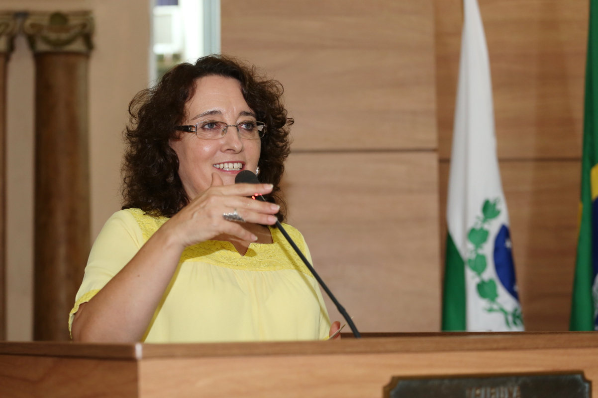 Notas da sessão plenária de 13 de abril - 2ª edição