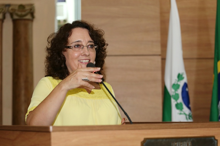 Notas da sessão plenária de 13 de abril - 2ª edição