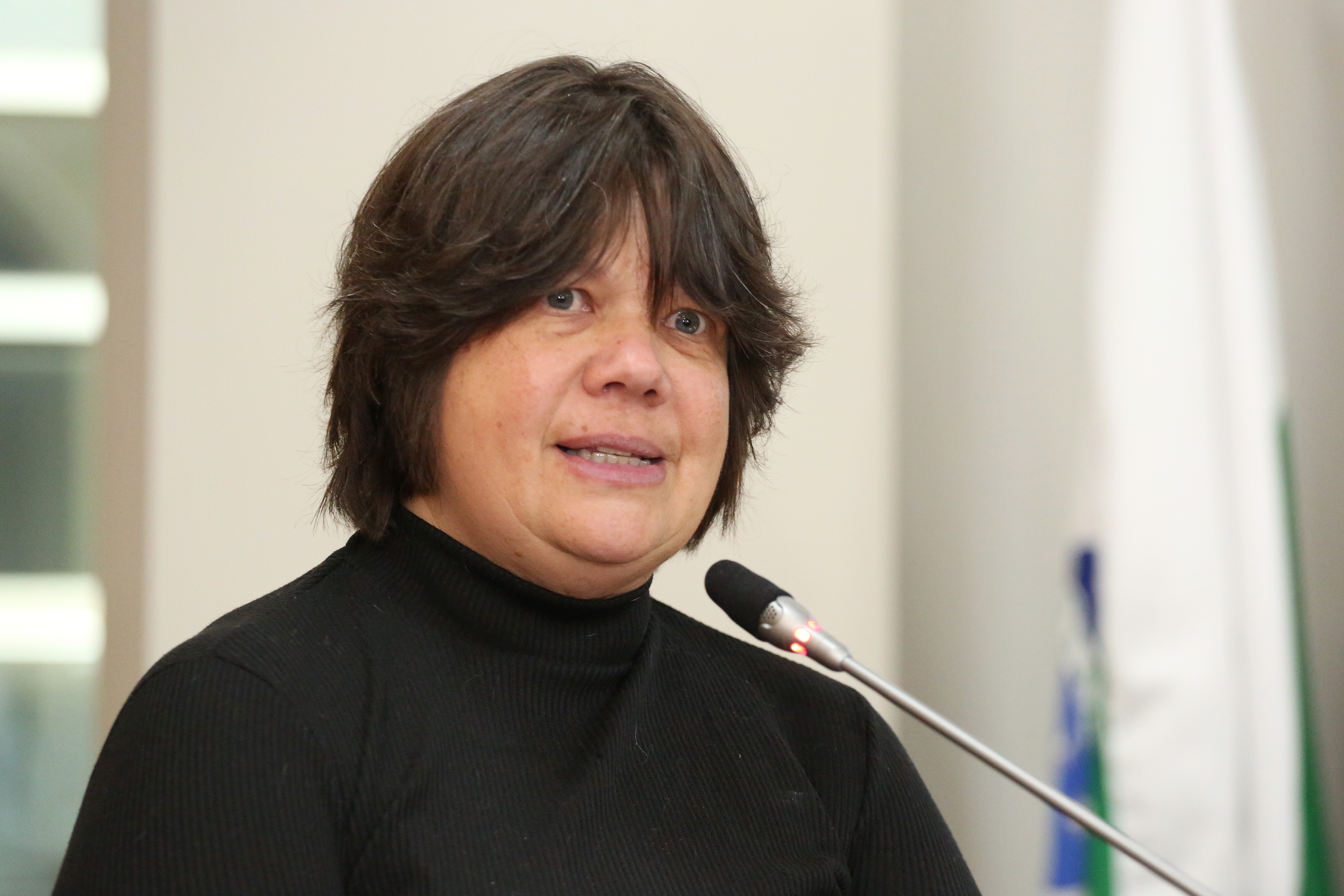 Notas da sessão plenária de 13 de agosto 