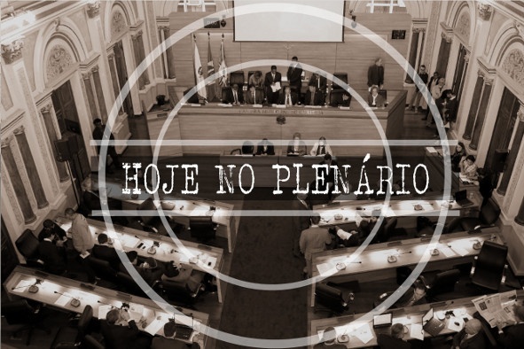 Notas da sessão plenária de 13 de março - 1ª edição