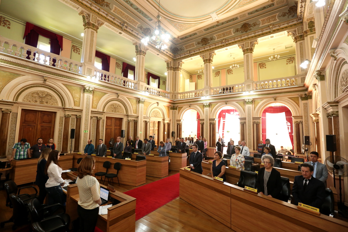 Notas da sessão plenária de 13 de novembro - 2ª edição