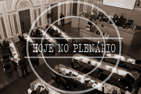 Notas da sessão plenária de 13 de setembro