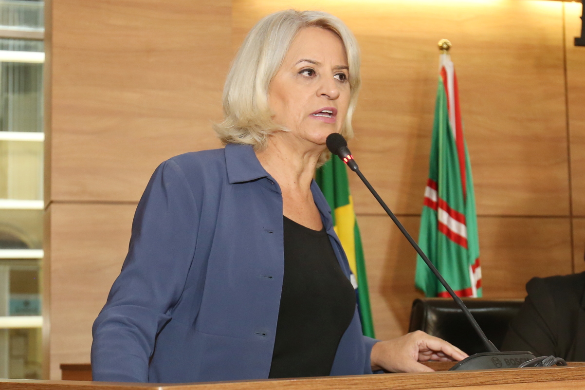 Notas da sessão plenária de 15 de maio - 1ª edição