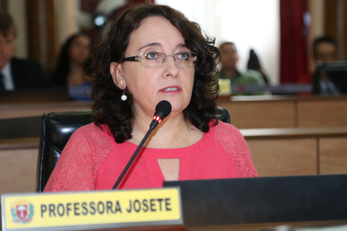 Notas da sessão plenária de 17 de abril - 2ª edição