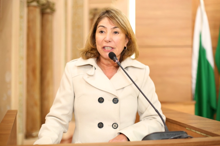 Notas da sessão plenária  de 18 de junho - 2ª edição