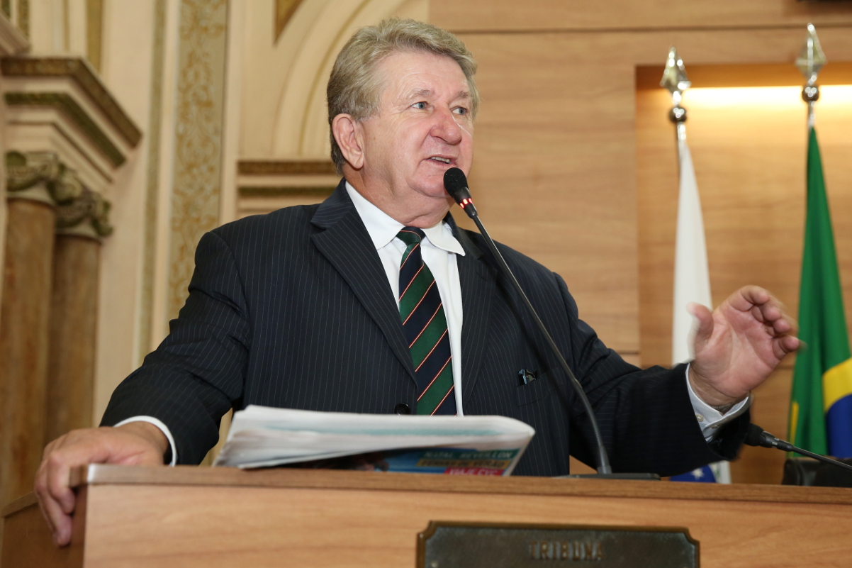 Notas da sessão plenária de 1º de dezembro - 2ª edição