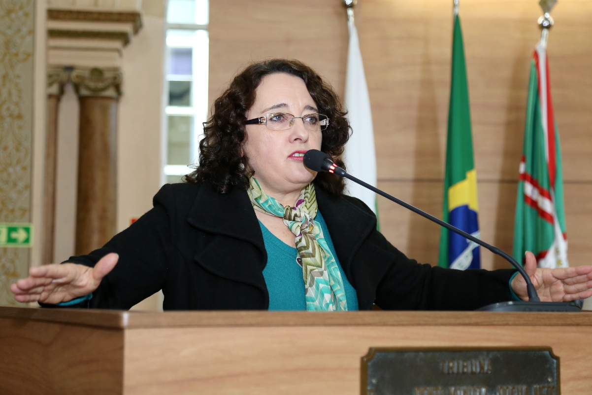 Notas da sessão plenária de 2 de maio - 2ª edição 