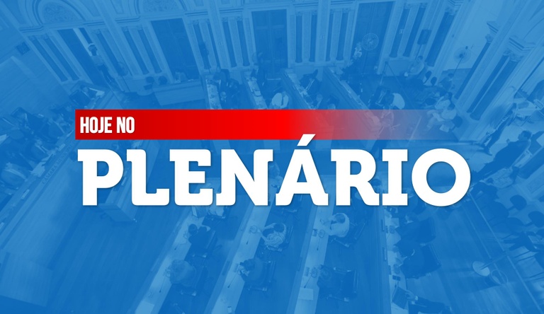 Notas da sessão plenária de 20 de maio - 2ª edição