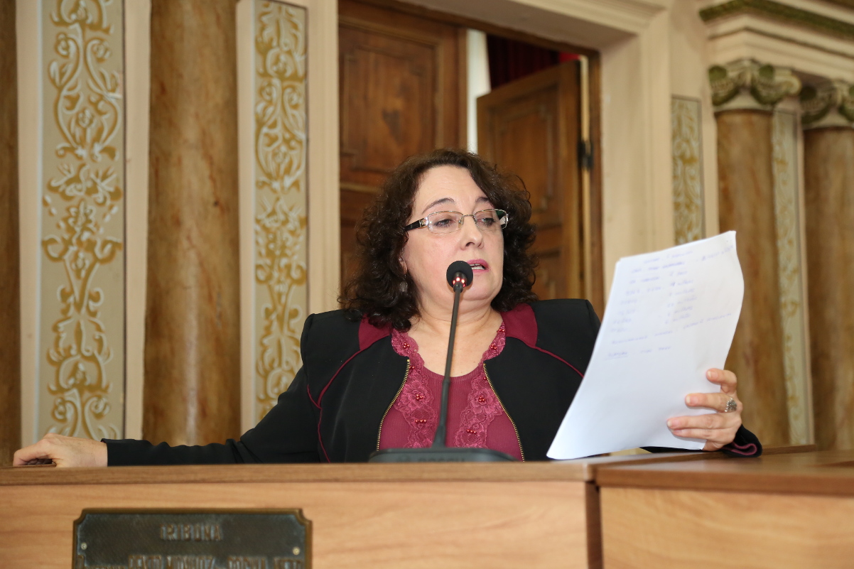 Notas da sessão plenária de 22 de maio - 1ª edição