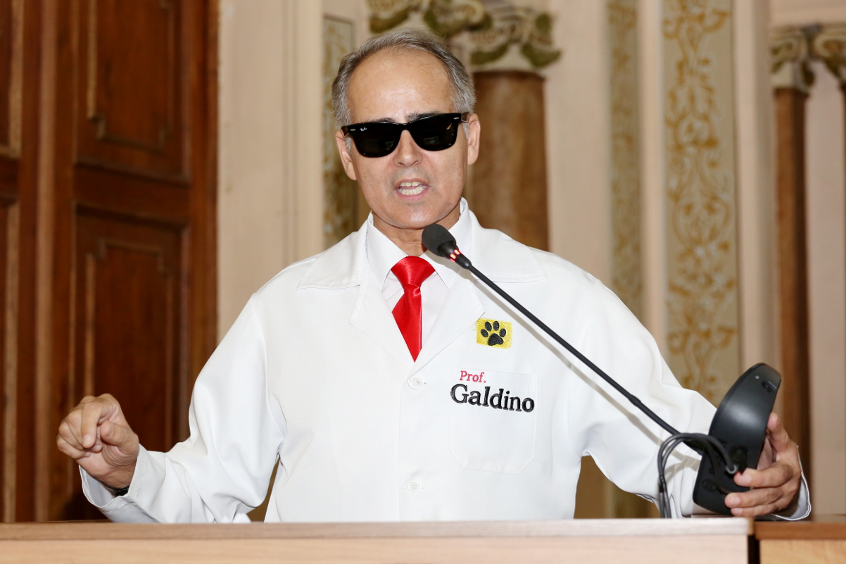 Notas da sessão plenária de 23 de fevereiro - 1ª edição