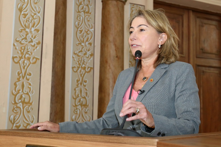 Notas da sessão plenária de 25 de abril - 1ª edição 