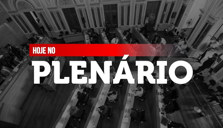 Notas da sessão plenária de 27 de agosto