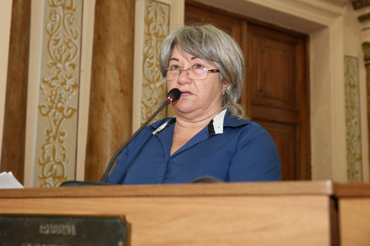 Notas da sessão plenária de 28 de outubro  1ª edição