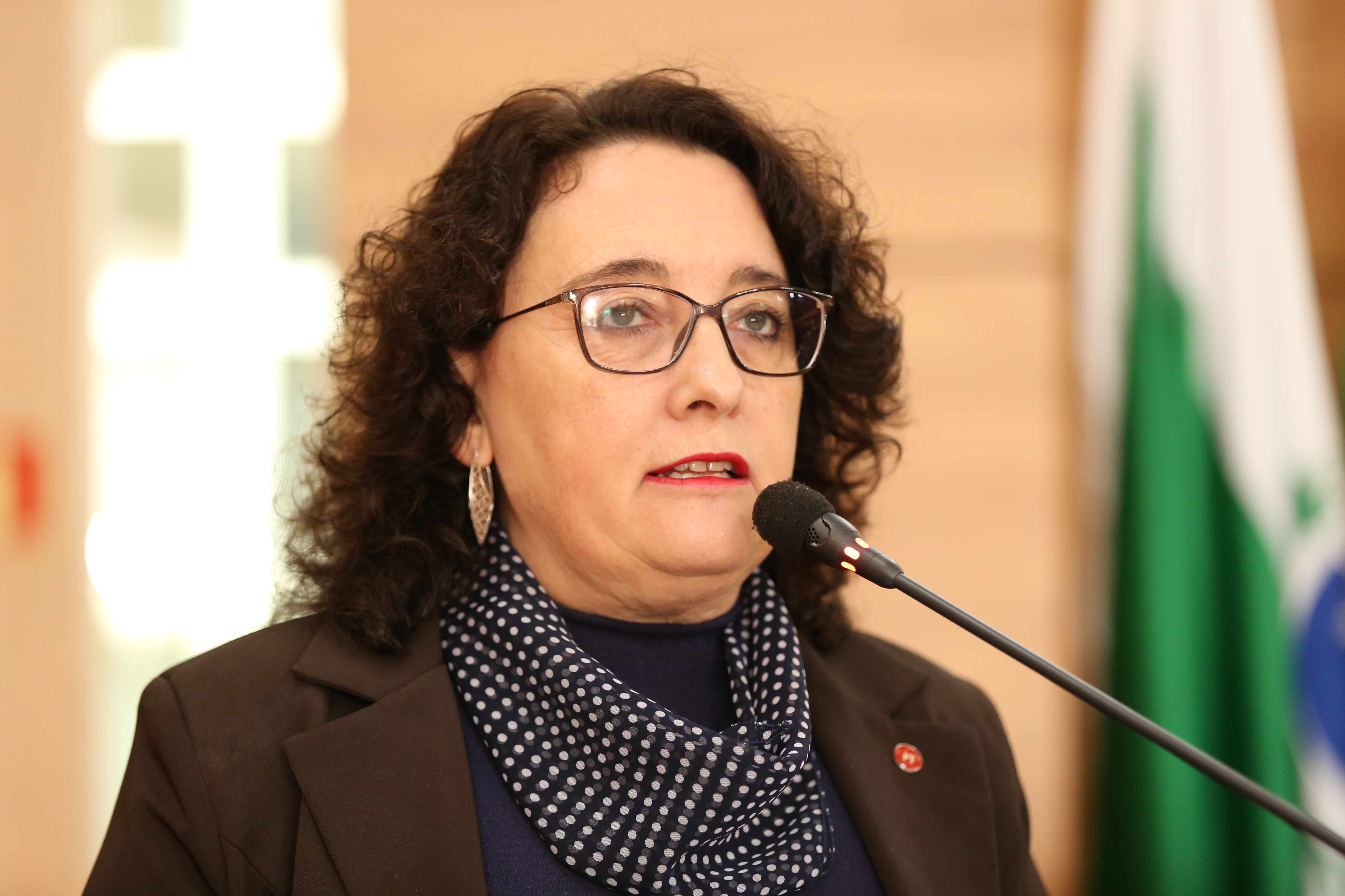 Notas da sessão plenária de 29 de maio - 1ª edição