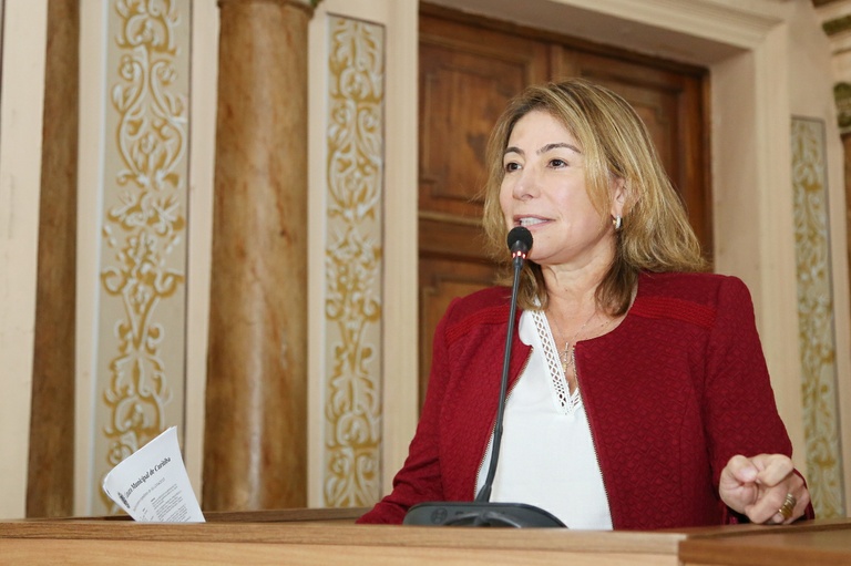 Notas da sessão plenária de 3 de abril - 1ª edição