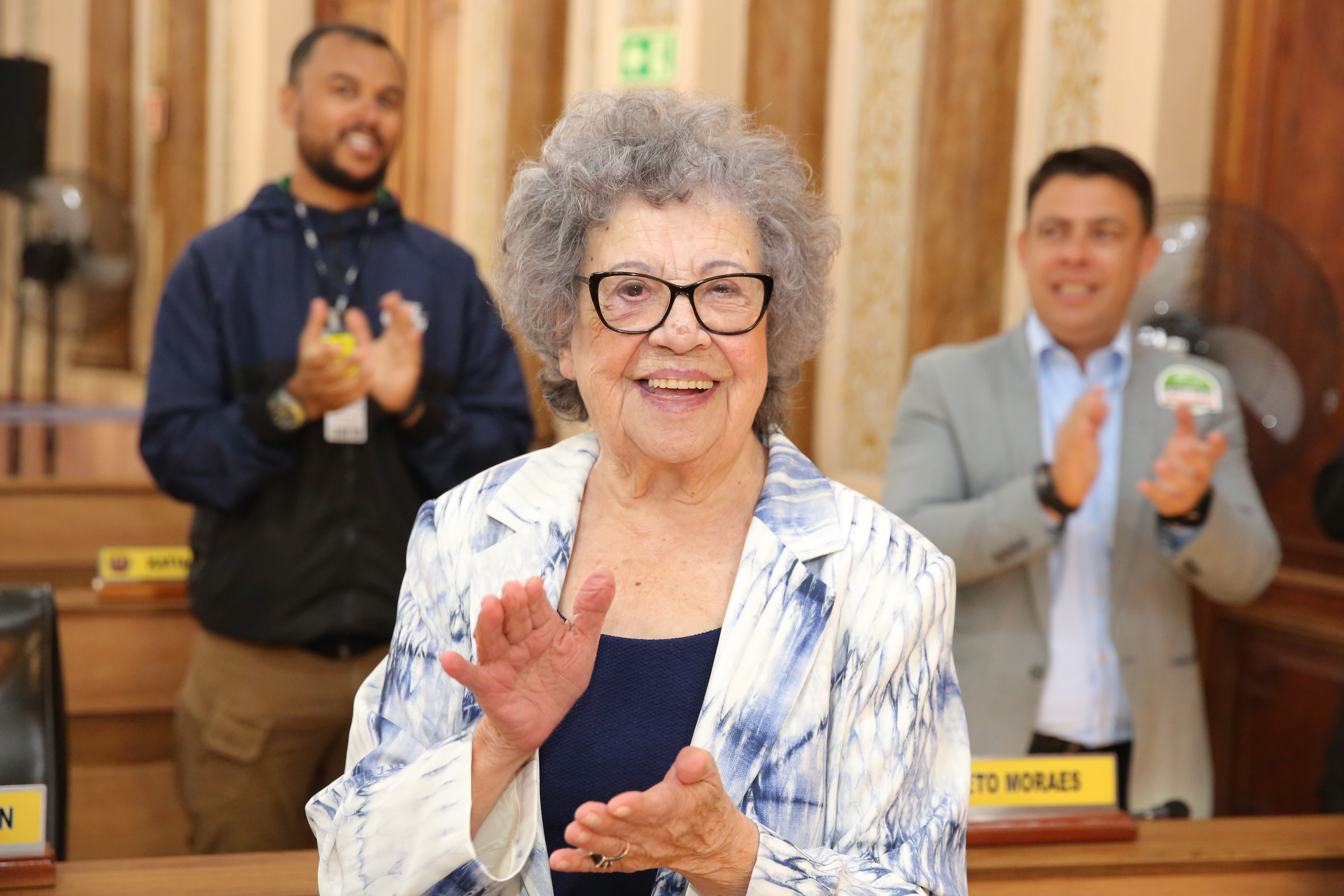 Notas da sessão plenária de 3 de dezembro - 1ª edição