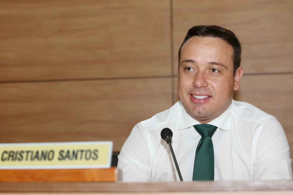 Notas da sessão plenária de 3 de fevereiro - 2ª edição