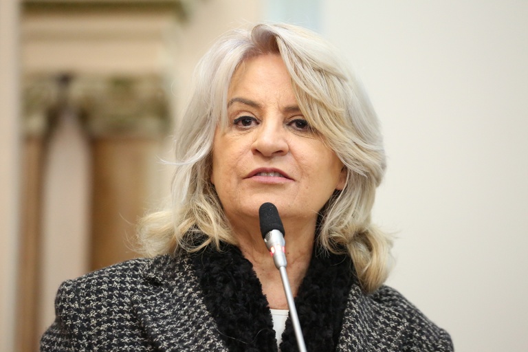 Notas da sessão plenária de 3 de setembro