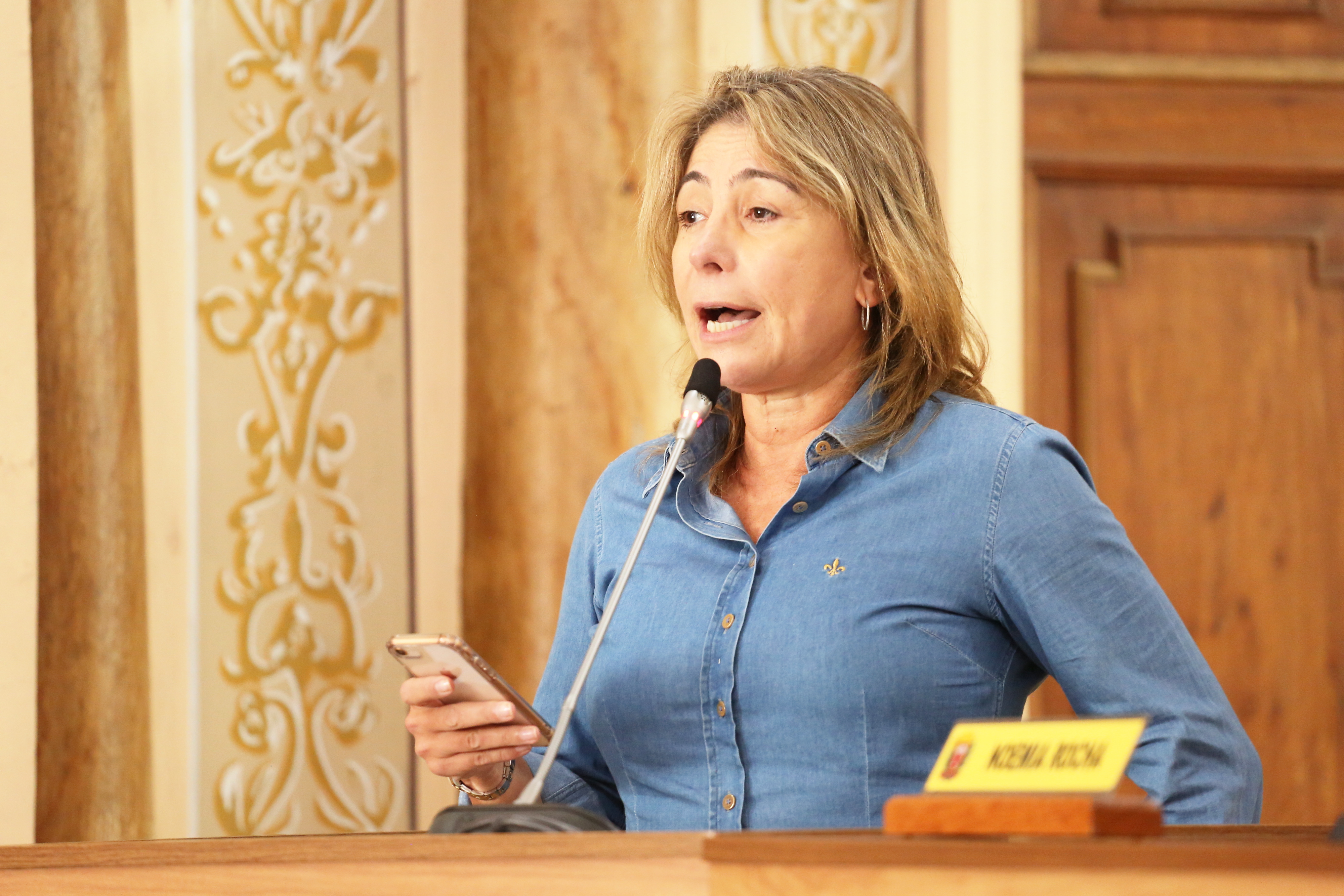 Notas da sessão plenária de 30 de abril