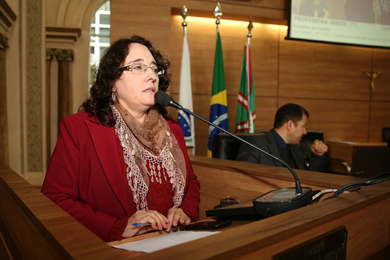 Notas da sessão plenária de 30 de maio - 2ª edição