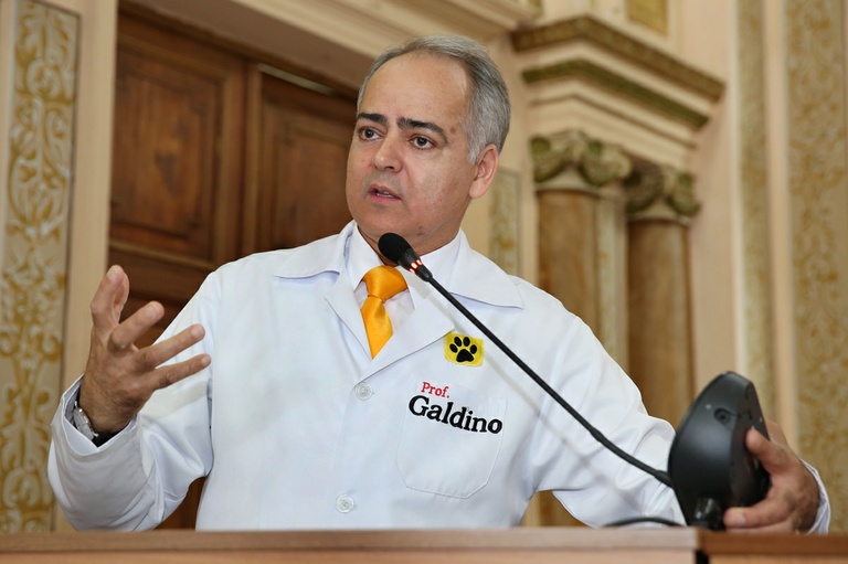 Notas da sessão plenária de 8 de dezembro - 1ª edição