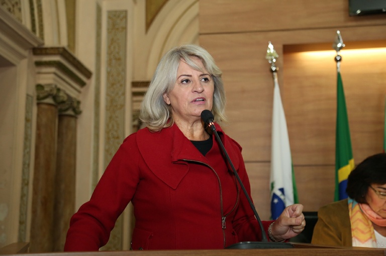 Notas da sessão plenária de 8 de maio