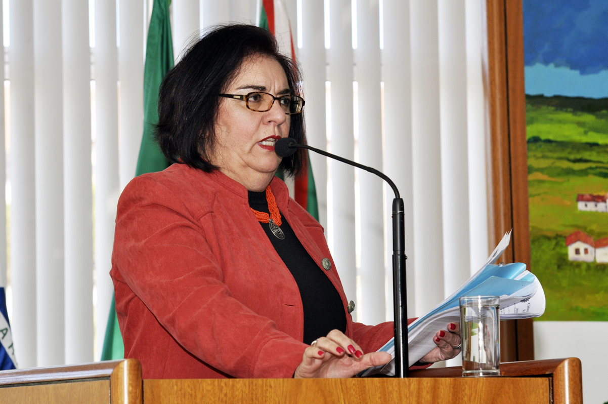 Notas de Plenário I - Sessão Ordinária de 12 de agosto 