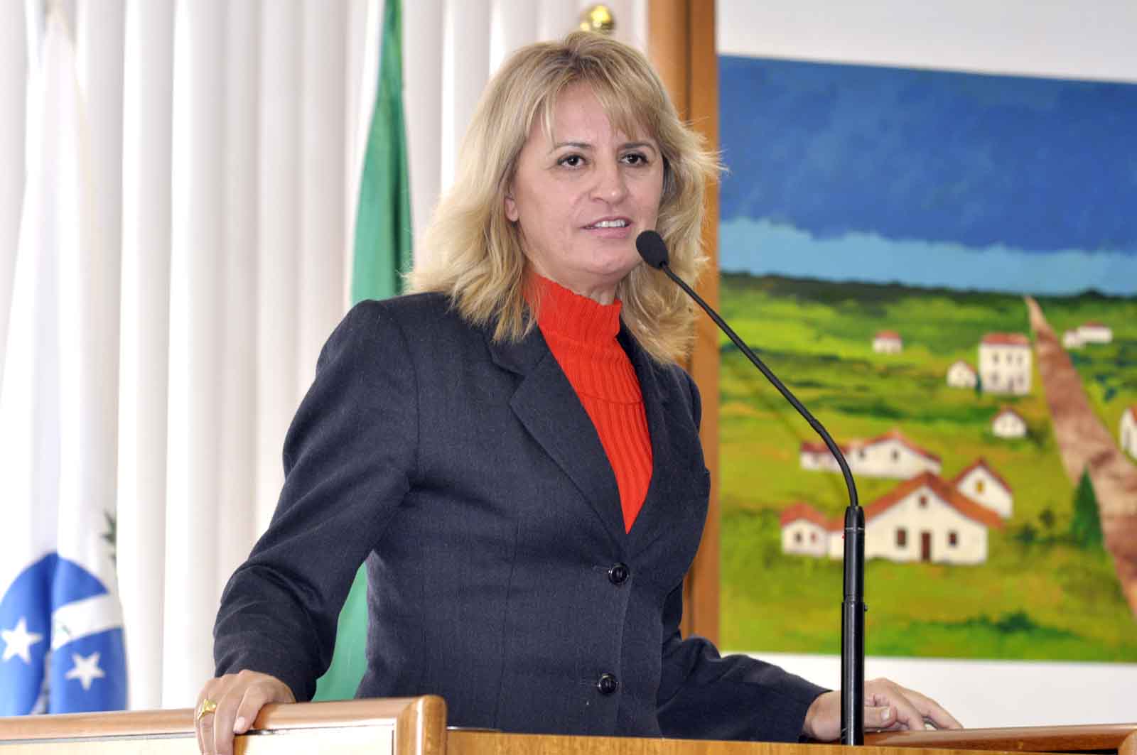 Notas de plenário II 