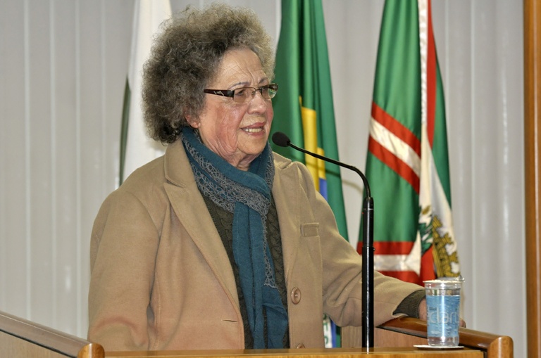 Notas de plenário II 