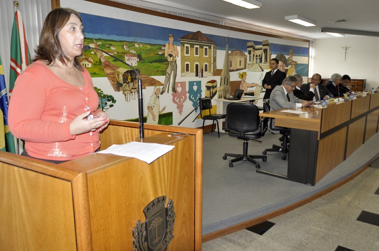 Notas de plenário II 