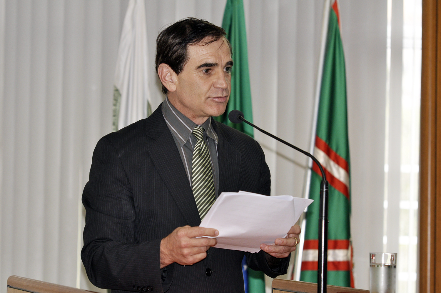  Notas de plenário II - Sessão Ordinária de 3 de abril de 2013 