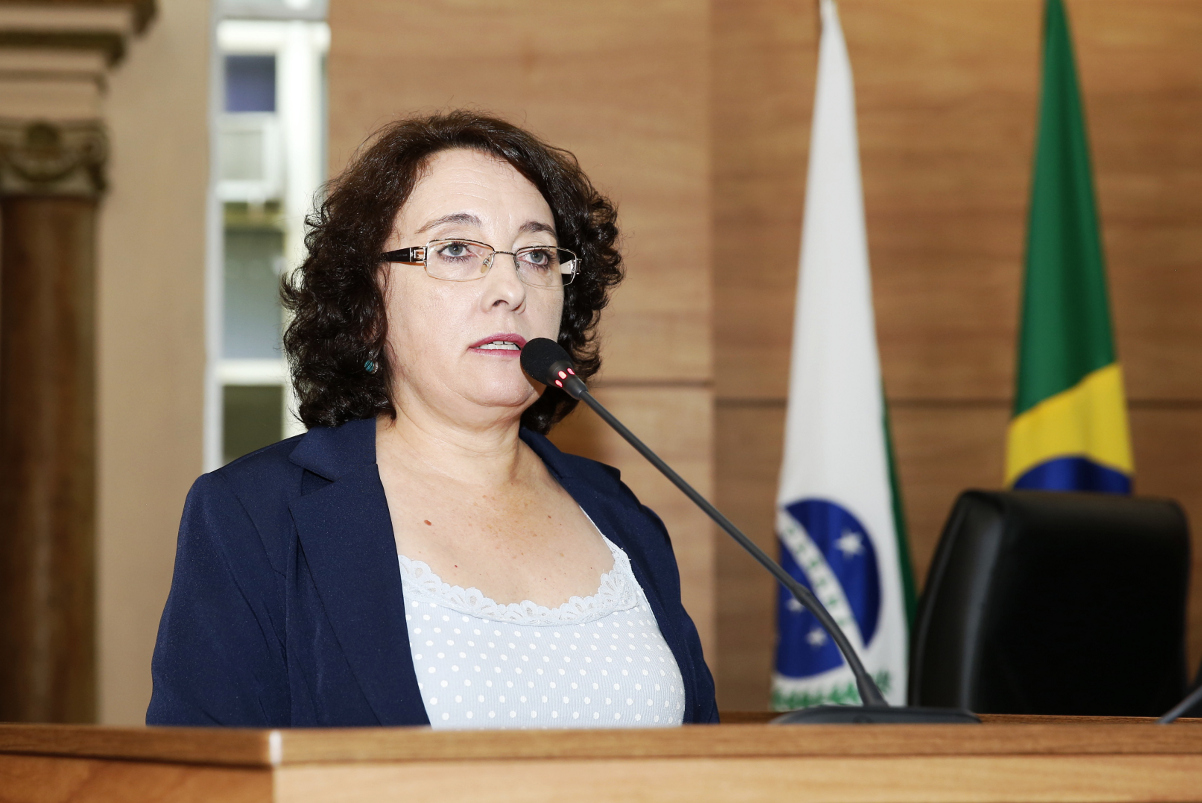 Notas de Plenário II - Sessão ordinária de 5 de novembro