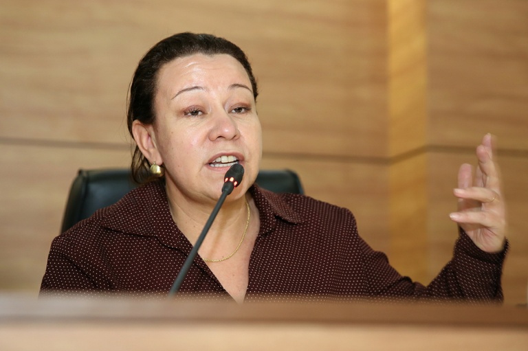 Notas de Plenário - Sessão Ordinária de 17 de setembro