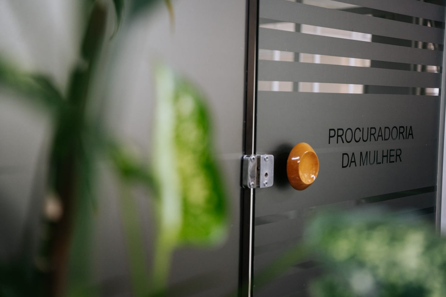 Nova gestão dá inserção nacional à ProMulher de Curitiba