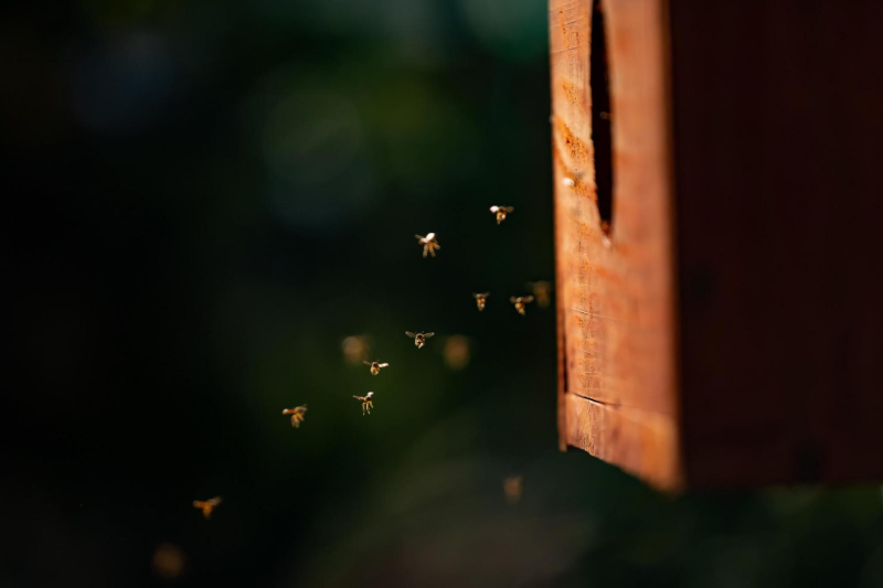 Nova Lei da Agricultura Urbana de Curitiba segue para sanção