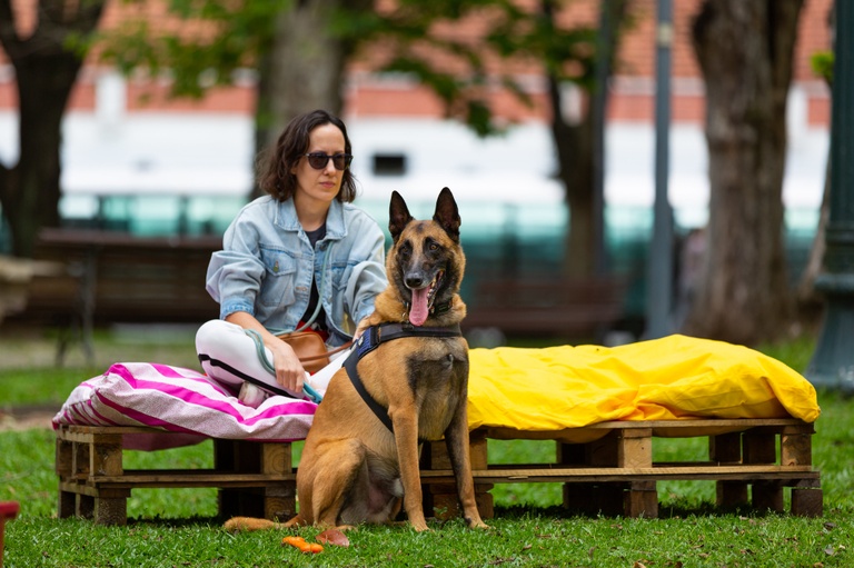 Novas regras para cães em espaços públicos entram em vigor em junho