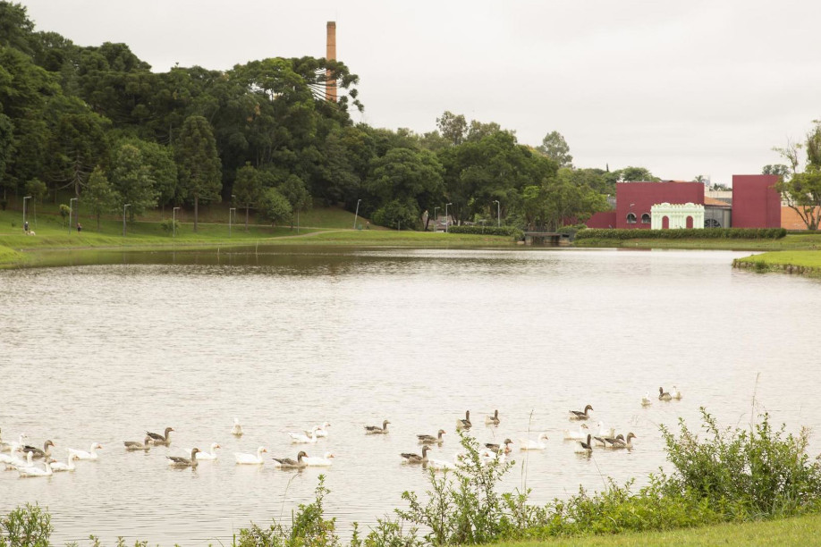 Obras e Educação são destaques nas emendas de Bruno Pessuti em 2024