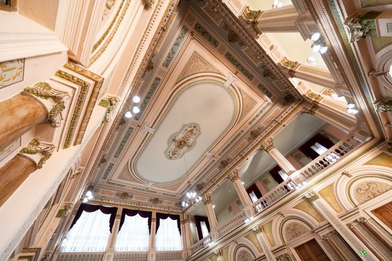 Operações imobiliárias e poda de árvores vão à sanção