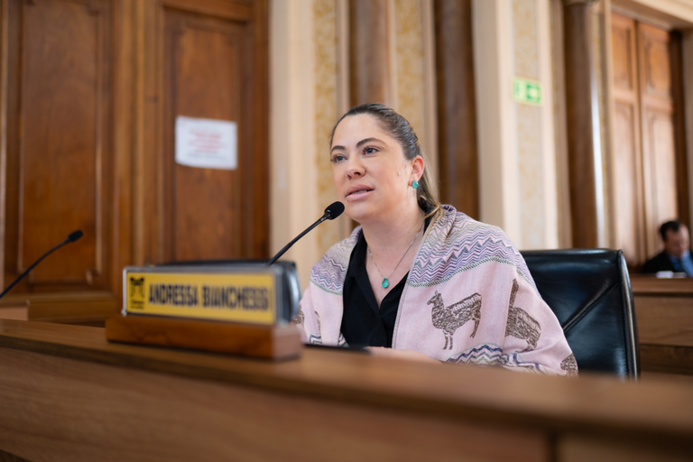 Outubro Rosa Pet em Curitiba alerta para câncer de mama em cães e gatos