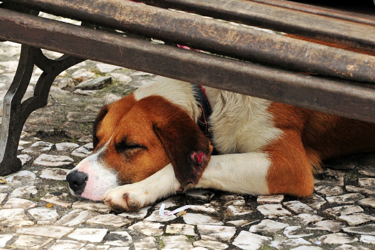 "Ouvi xingamentos, mas a repercussão é positiva", diz Fabiane Rosa