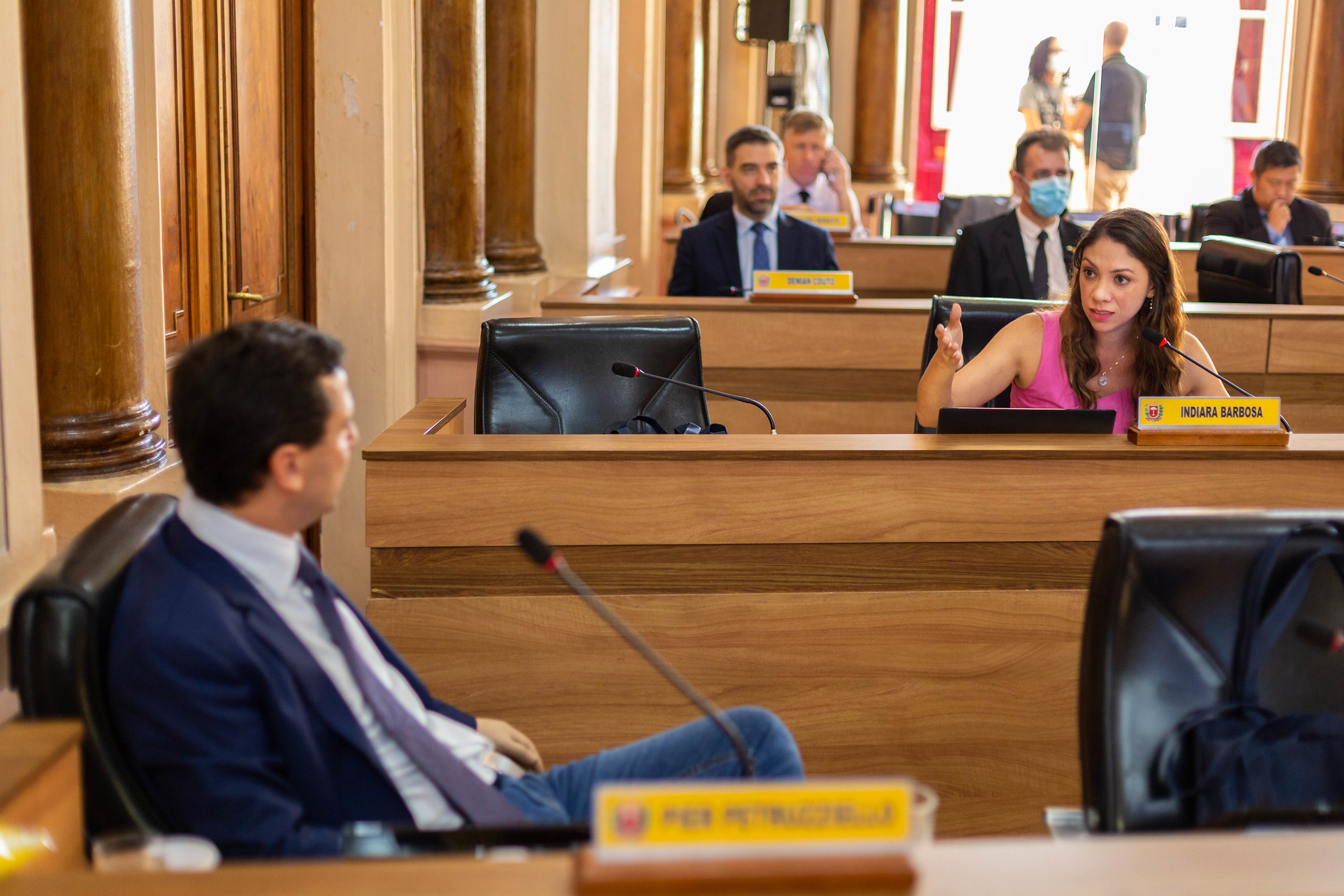 Palco Tatára tem apoio da Câmara; escultura no zoológico é questionada