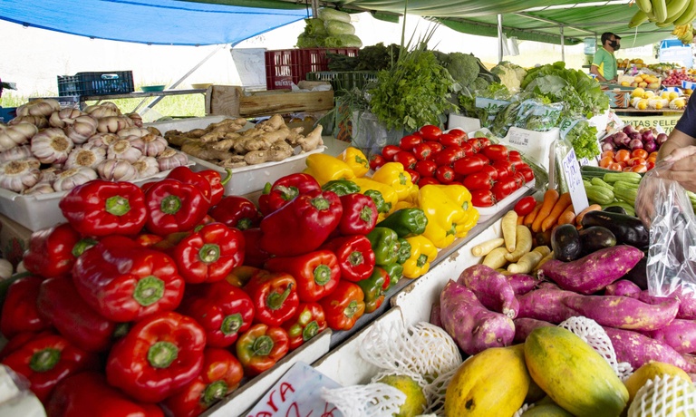 Pandemia pode prorrogar mandatos do Conselho da Economia Solidária