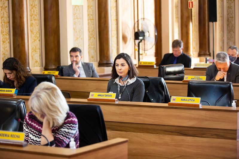 Acatadas sugestões para Portal da Transparência e Regimento