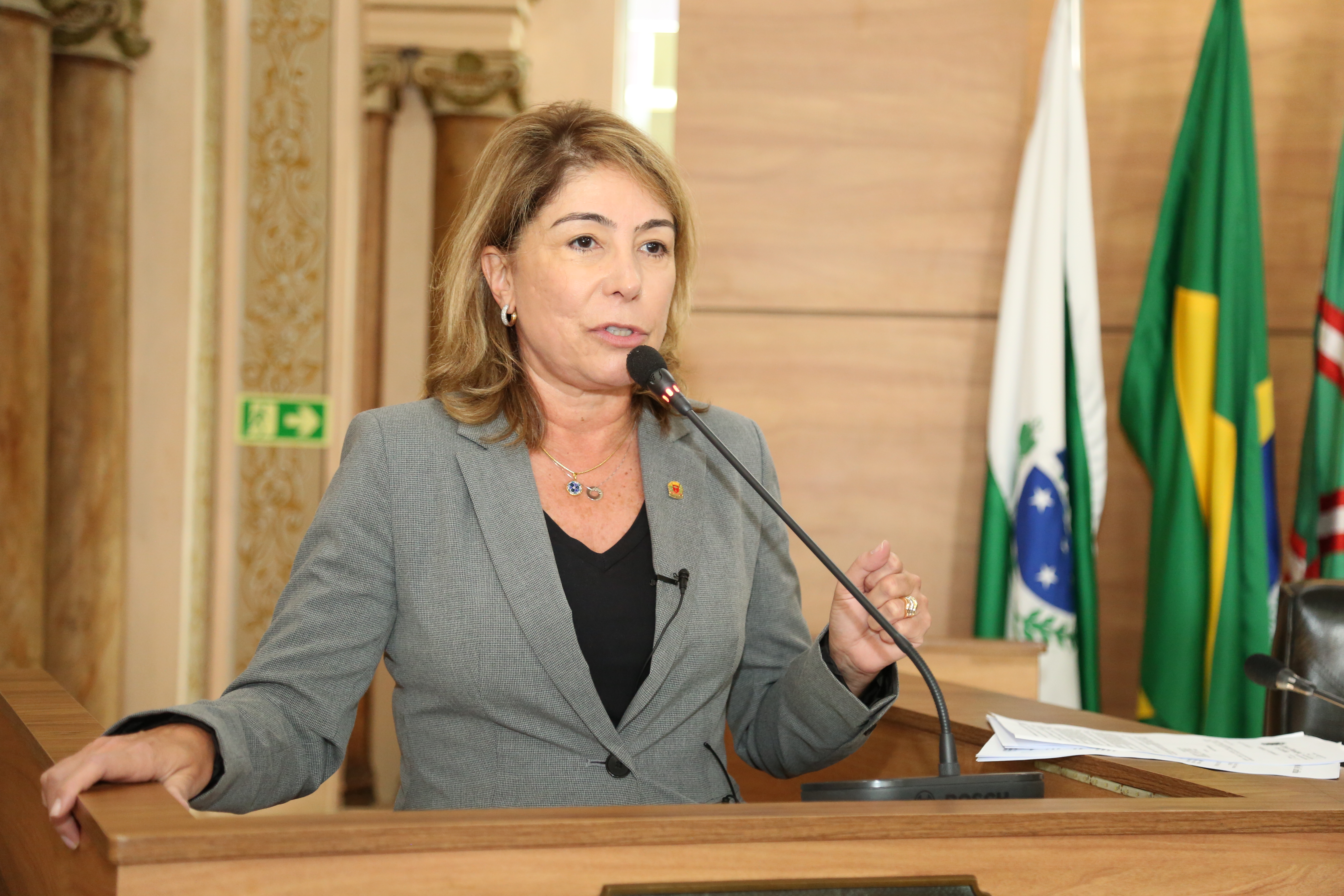 Plenário aprova regulamentação à tanatopraxia com unanimidade 