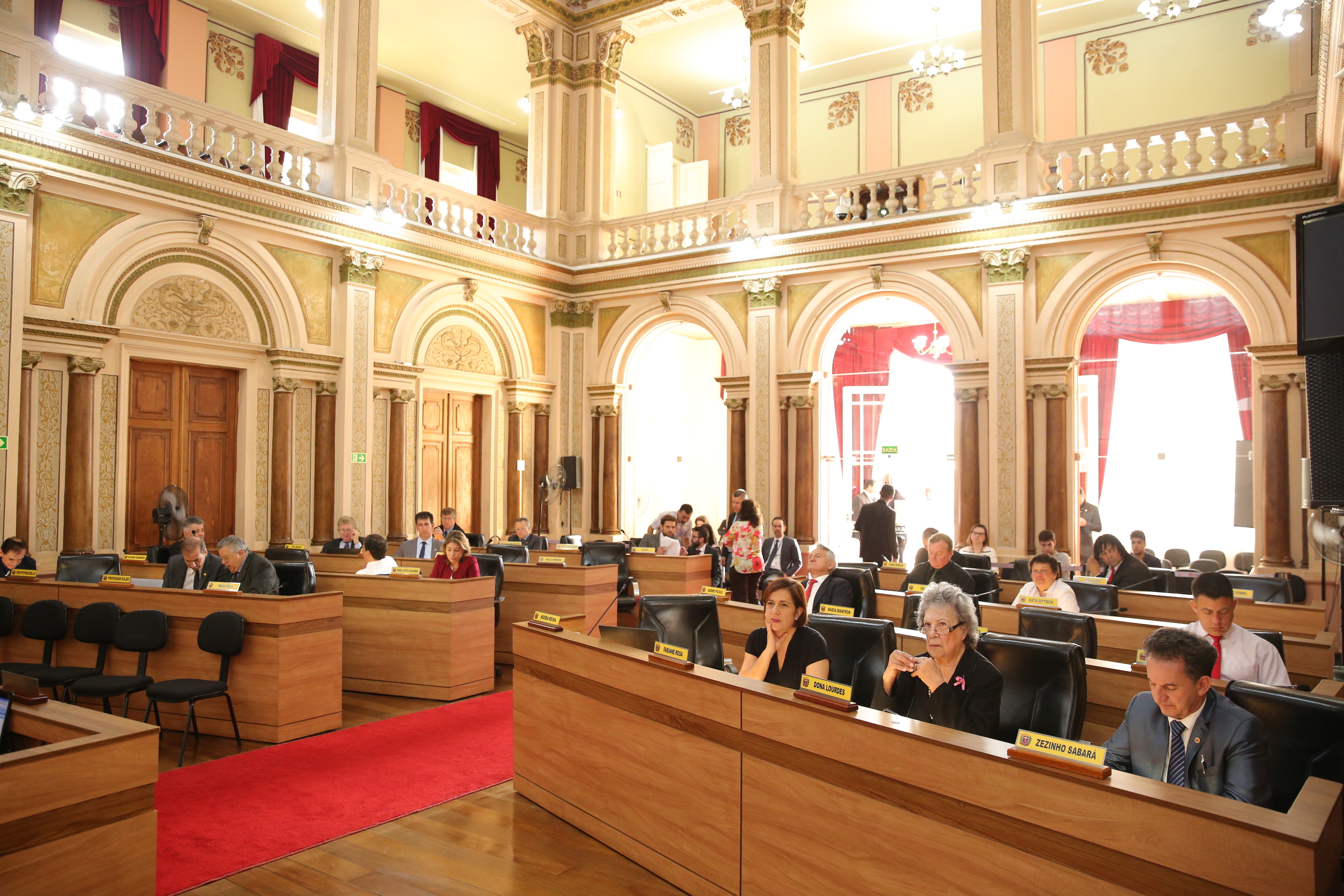 Plenário confirma apoio à Acelpar e Semana sobre esquizofrenia