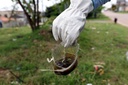 Sancionada lei que endurece combate ao Aedes Sancionada lei que endurece combate ao Aedes