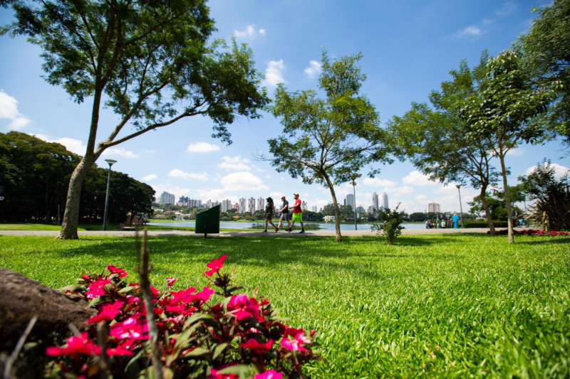 Política da Felicidade recebe substitutivo e retornará à CCJ