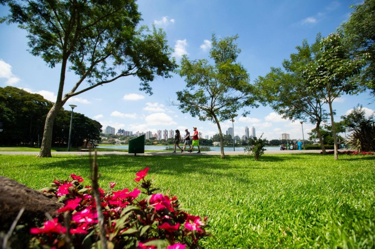 Política da Felicidade recebe substitutivo e retornará à CCJ